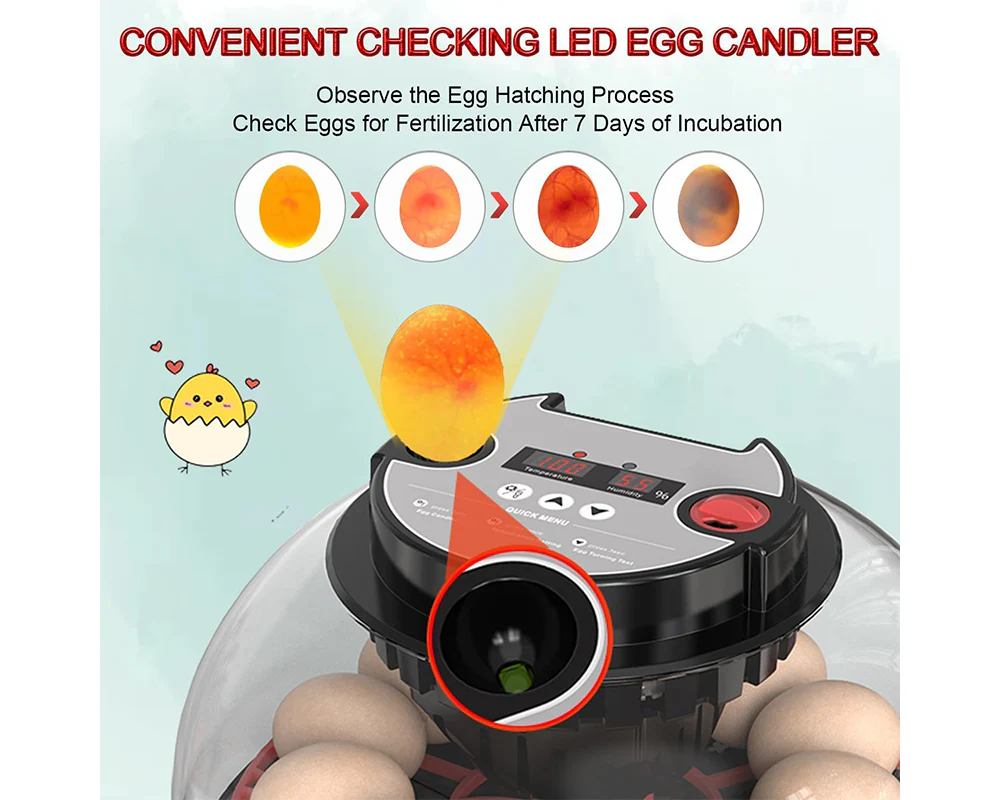 Egg Incubator Hatcher - Image 3