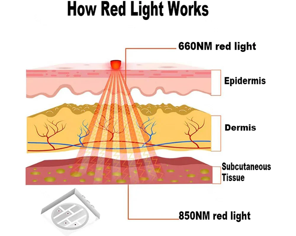 Red Light Therapy Wrap and Belt - Image 7