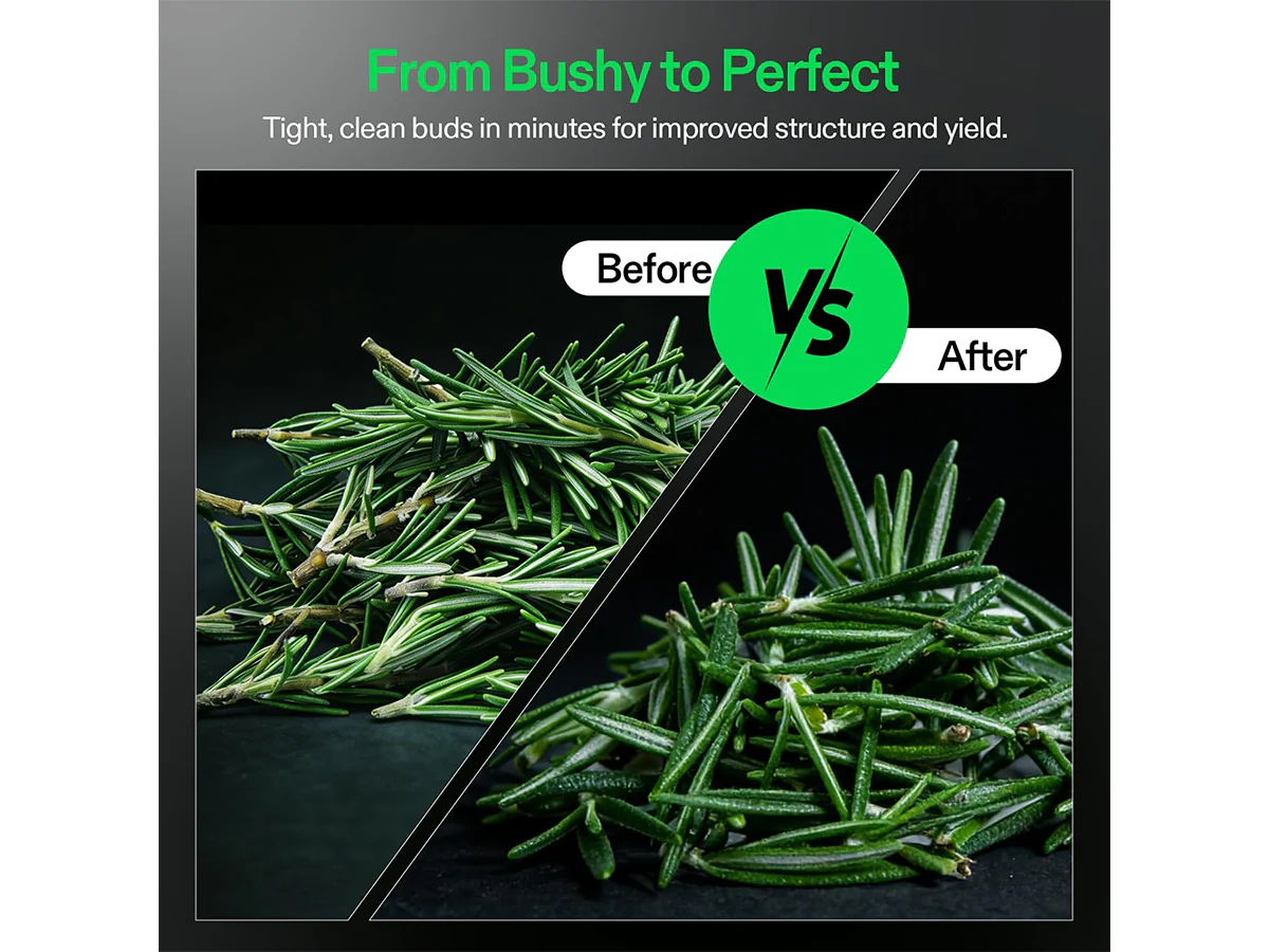 Manual Bud Leaf Trimmer - Image 5