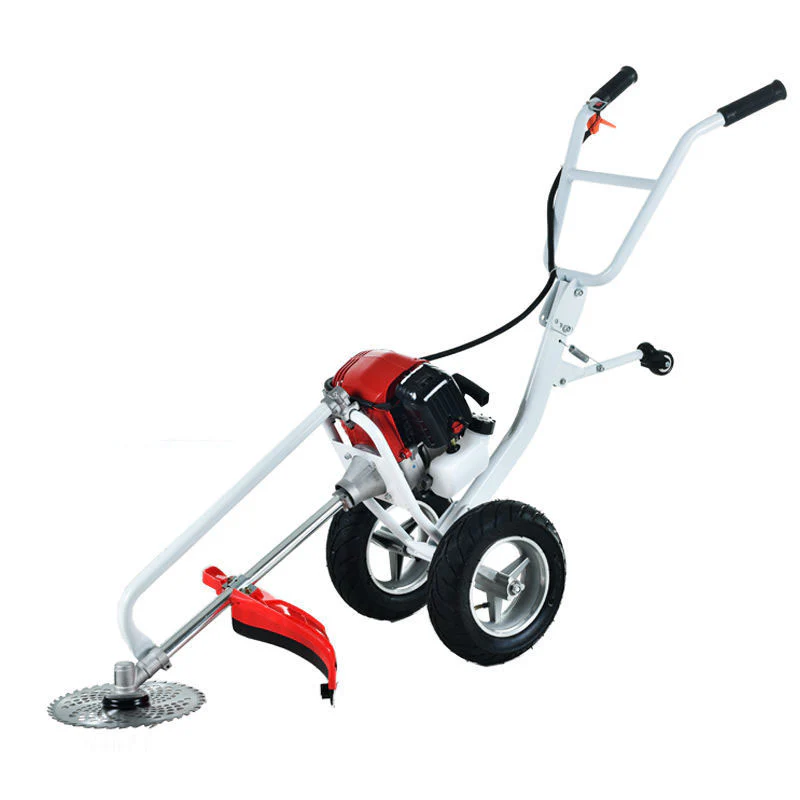 Lawn Brush Cutter / Weed Eater - Image 6
