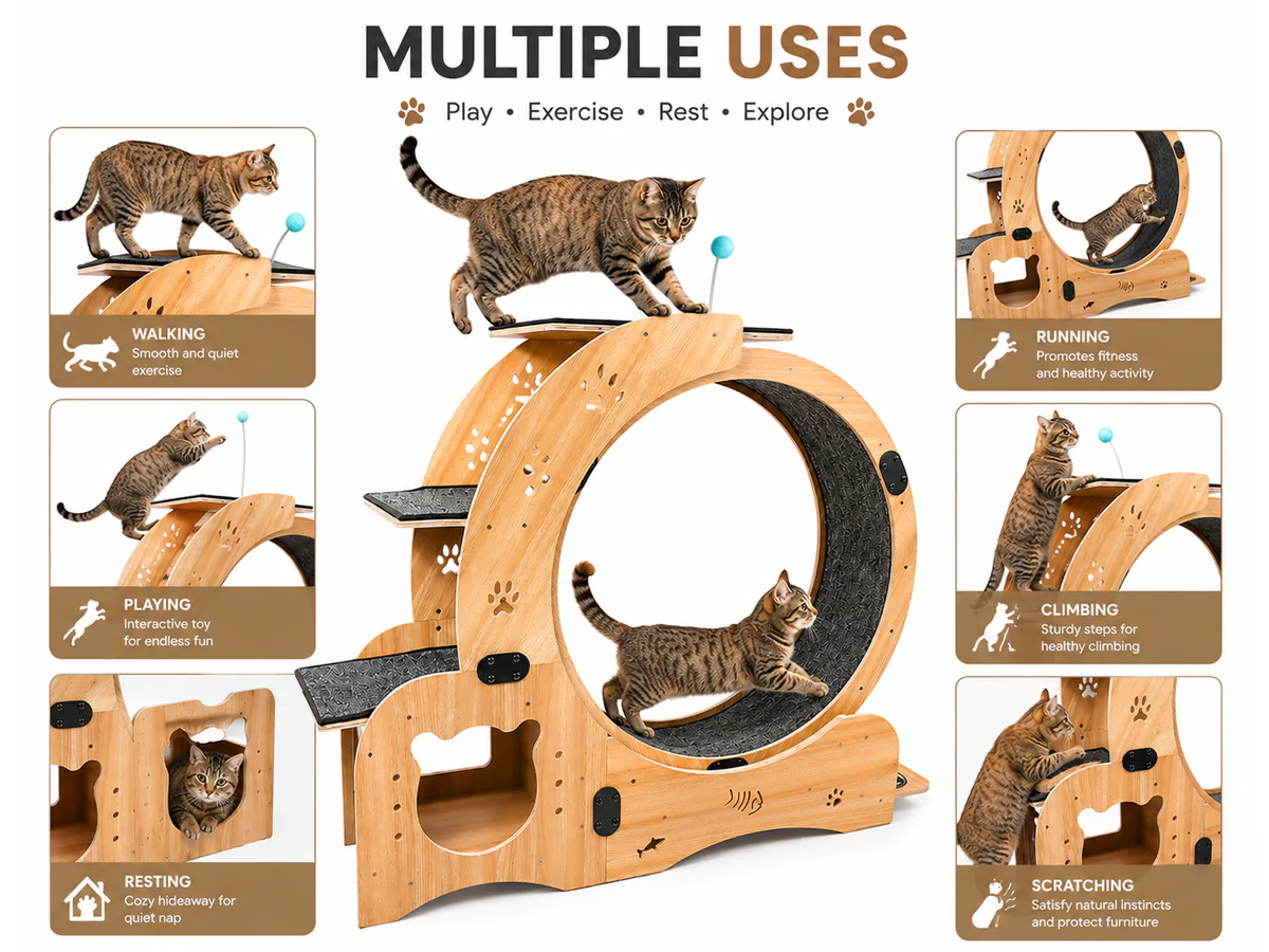 Cat Wheel Exercise - Image 2