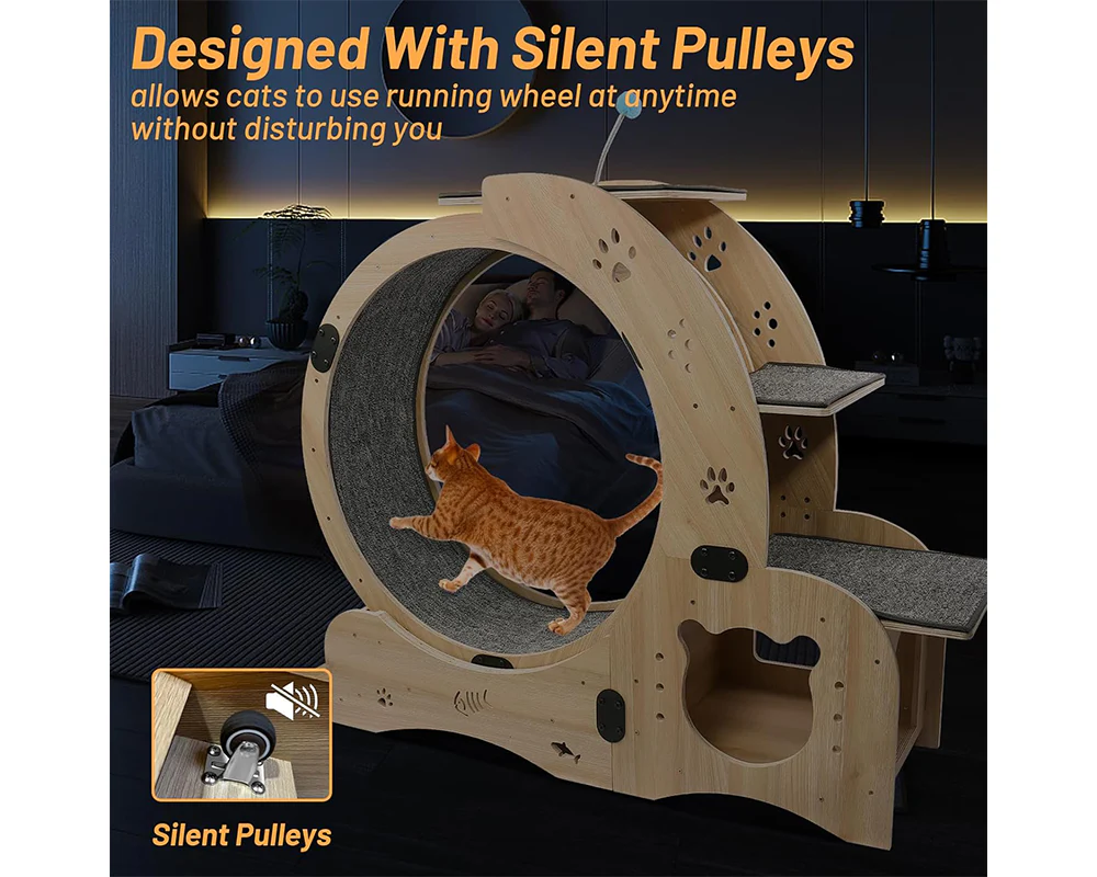 Cat Wheel Exercise - Image 6