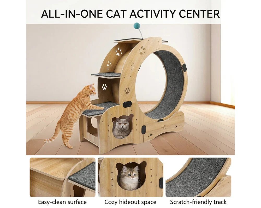 Cat Wheel Exercise - Image 8