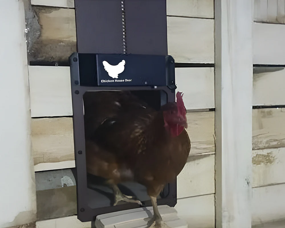 Automatic Chicken Coop Door Opener - Image 7