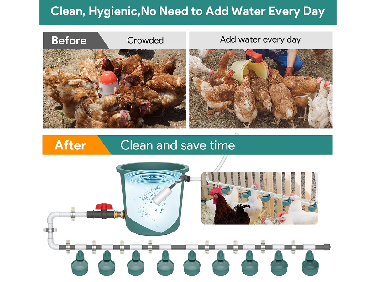 Chicken Water Feeder - Image 2