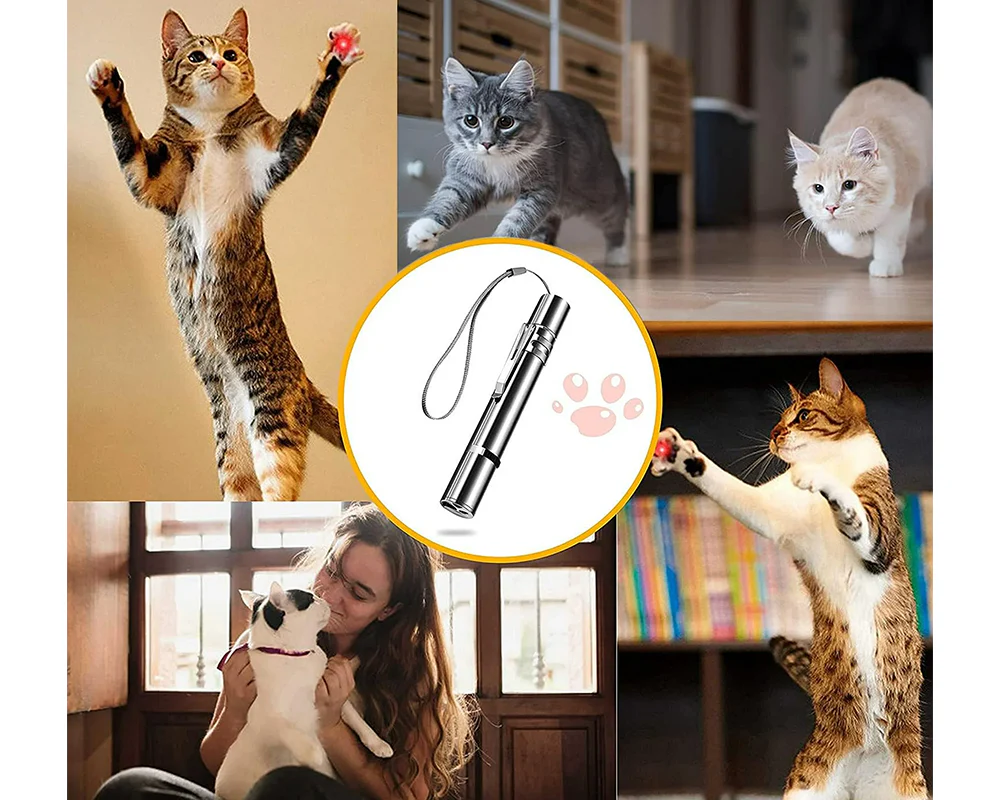 Rechargeable Laser Pointer Pet Toy - Image 10