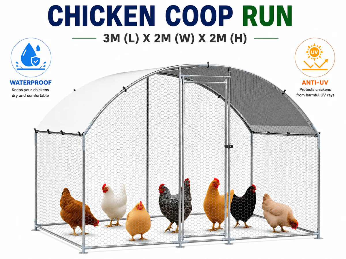 Outdoor Chicken Coop - Image 2