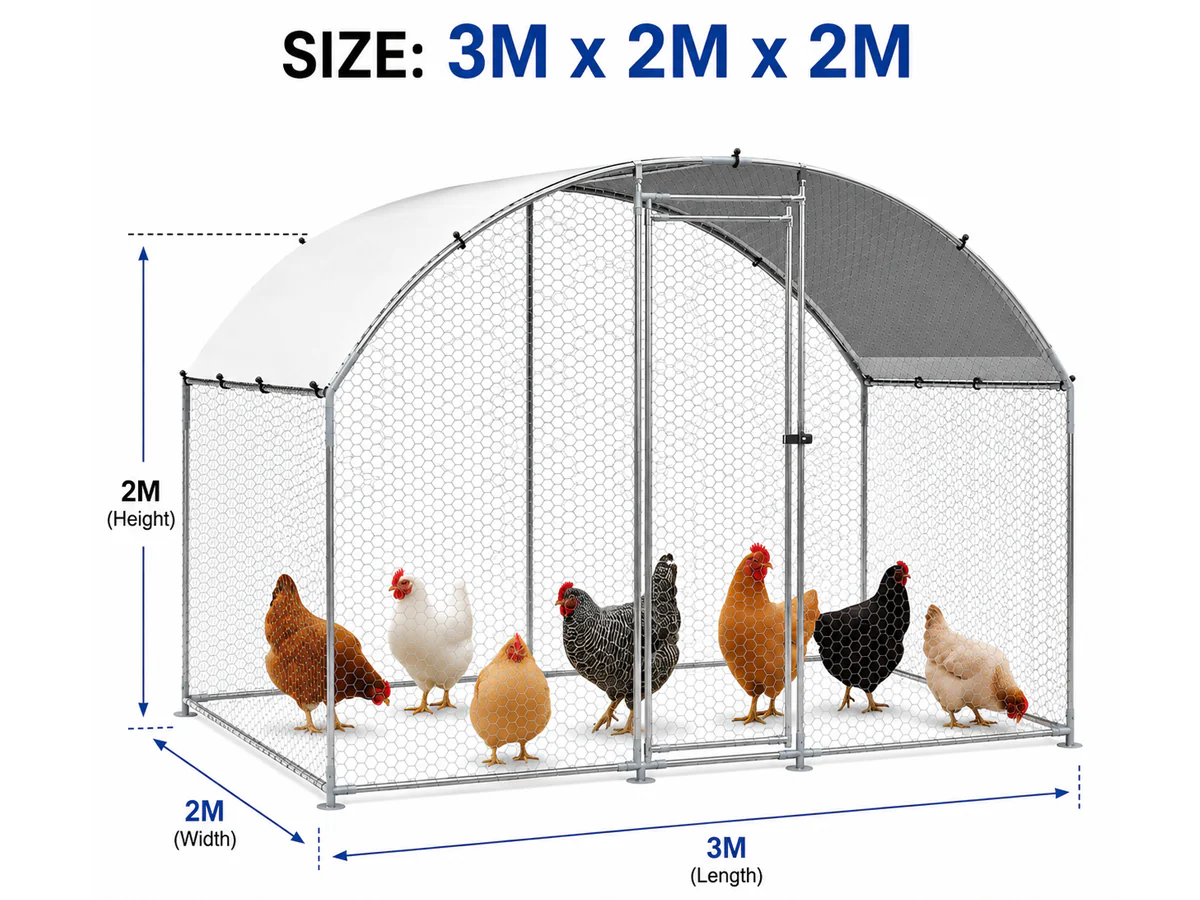Outdoor Chicken Coop - Image 4