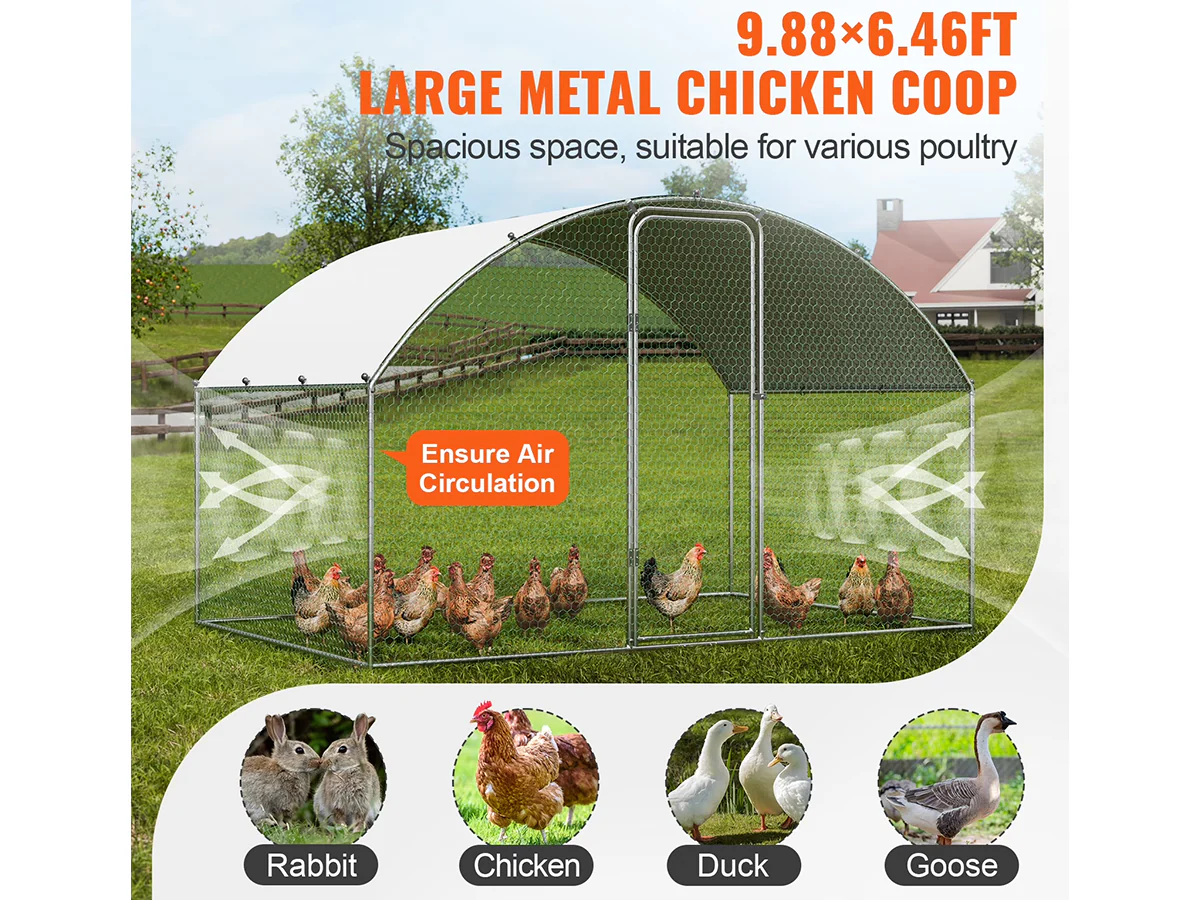 Outdoor Chicken Coop - Image 7