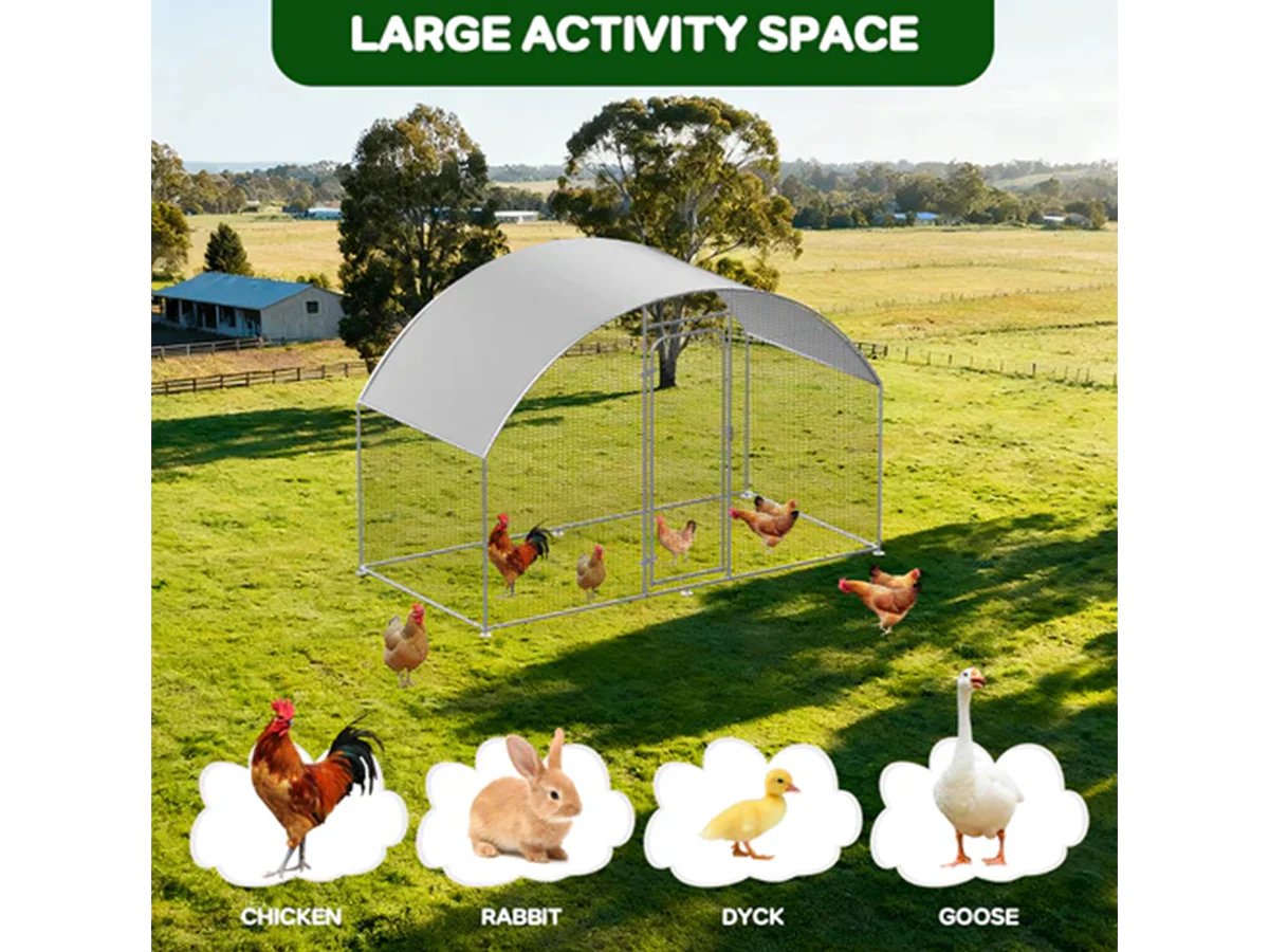 Outdoor Chicken Coop - Image 9