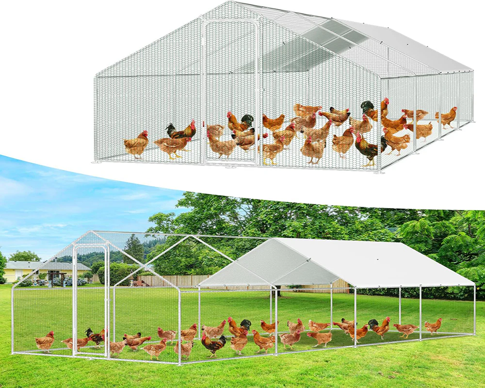 Outdoor Chicken Coop 8Mx3Mx2M - Image 9