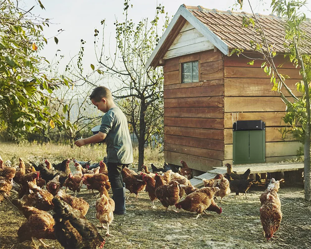 Automatic Chicken Coop Door Opener - Image 7