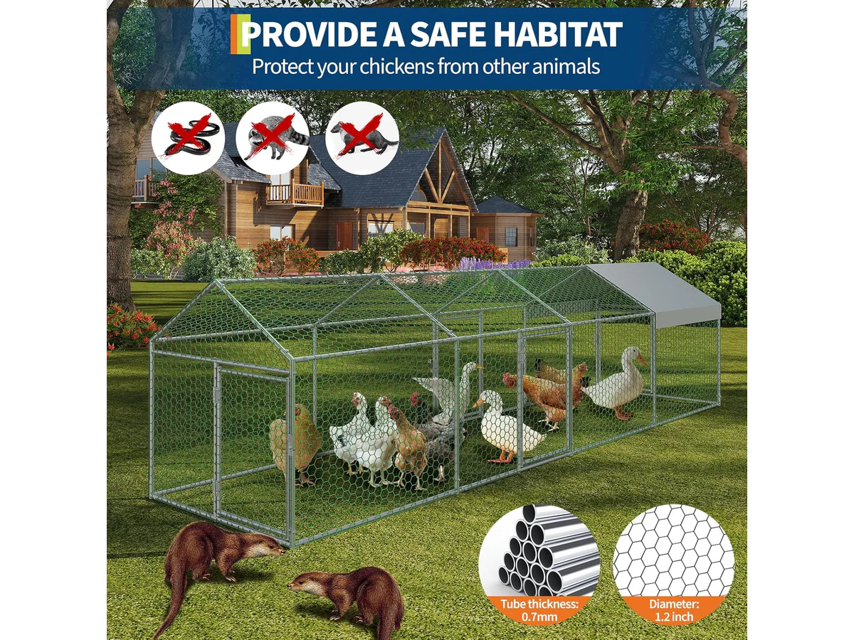 Outdoor Chicken Coop Run - Image 5