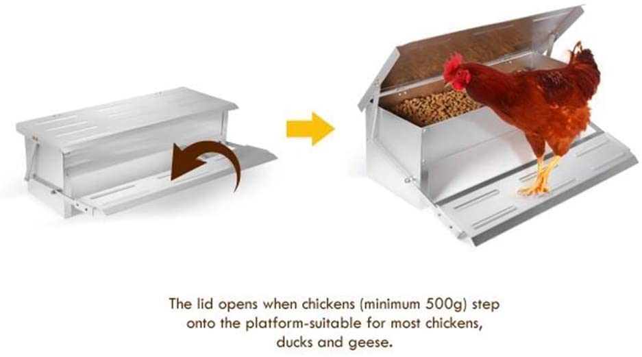 Automatic Chicken Feeder 10Kg - Image 5