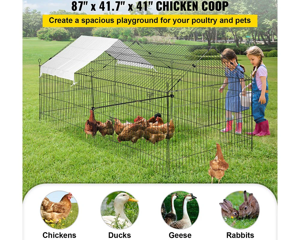 Outdoor Chicken Coop - Image 4