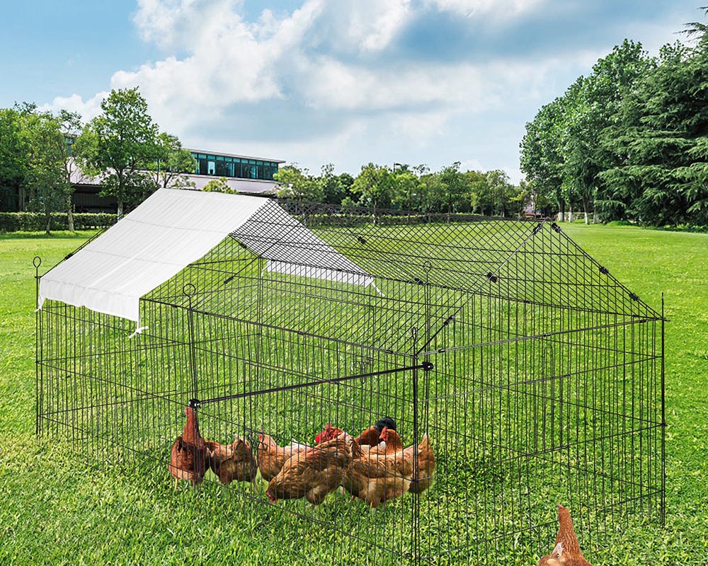 Outdoor Chicken Coop - Image 9
