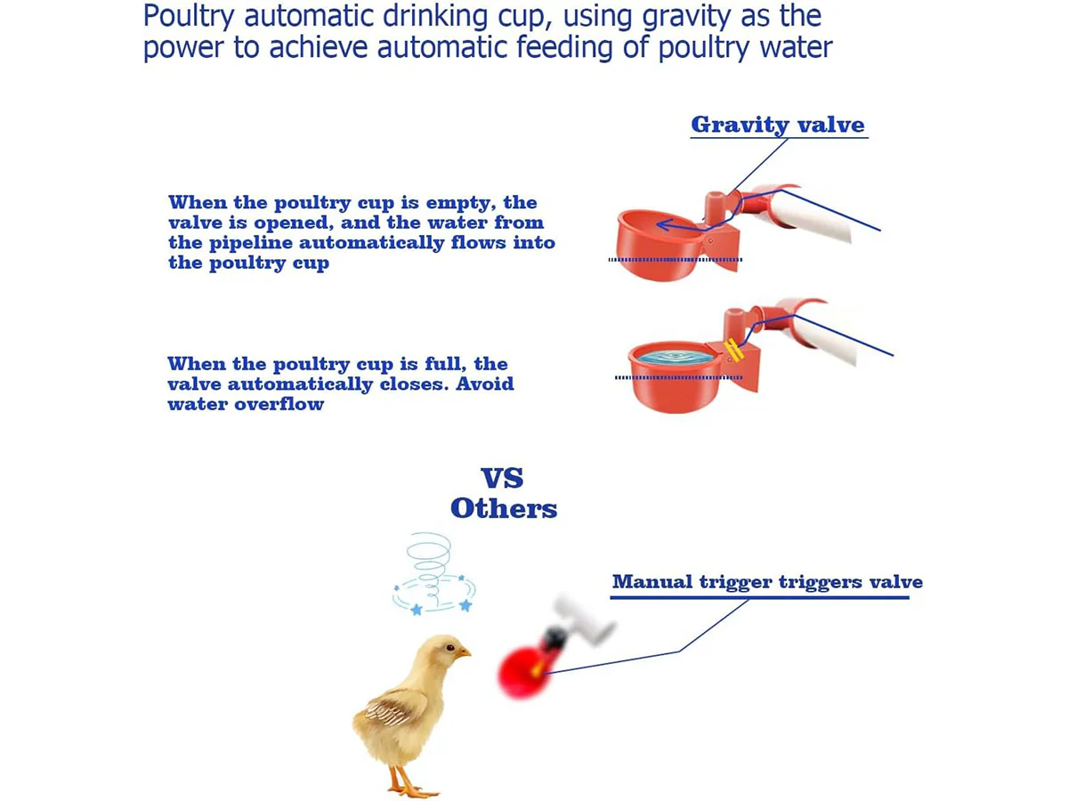 Chicken Water Feeder - Image 6