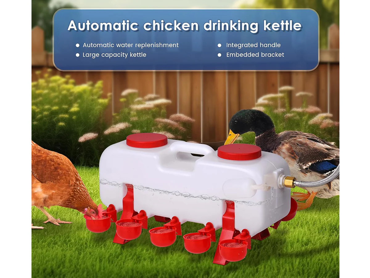 Chicken Water Feeder - Image 3