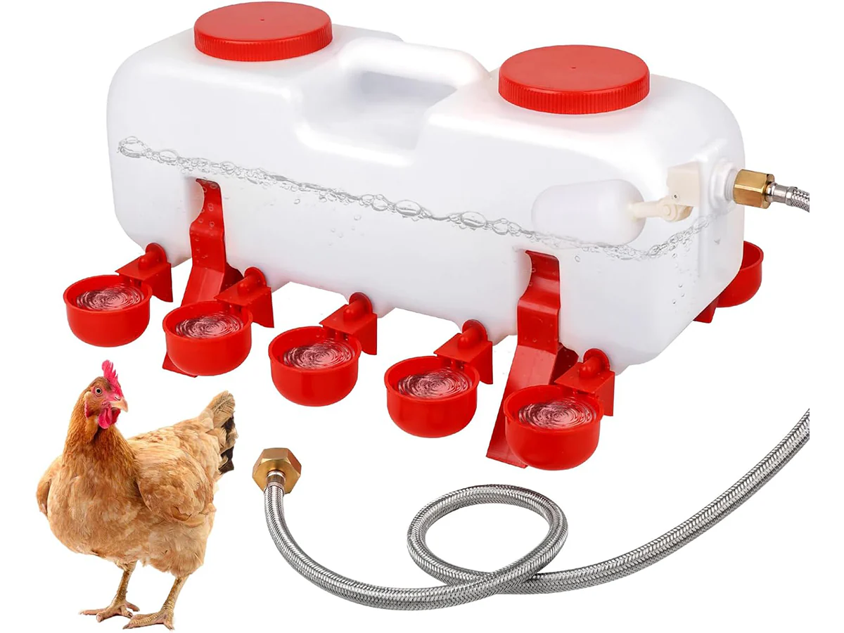 Chicken Water Feeder - Image 7