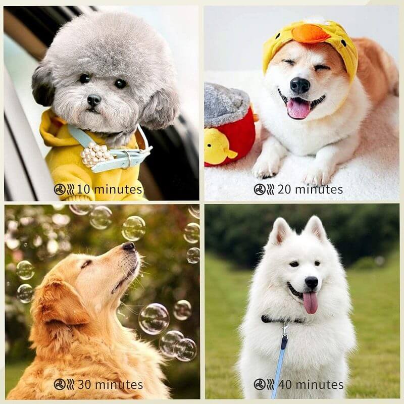 Dog Cat Pet Dryer Pet Hair Dryer - Image 6