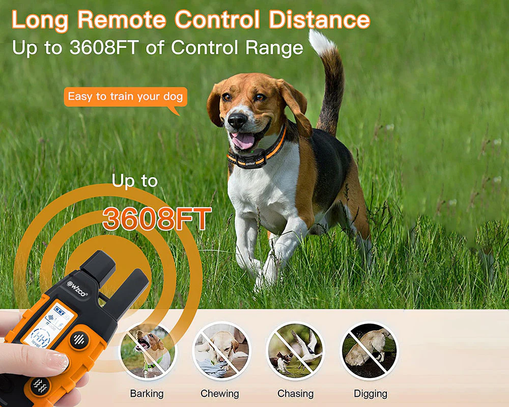 Anti Bark and Training Dog Collar - Image 3