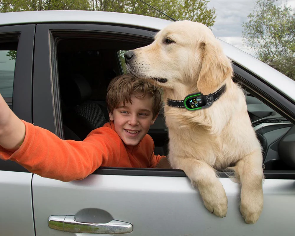 Smart No-Bark Dog Training Collar - Image 7