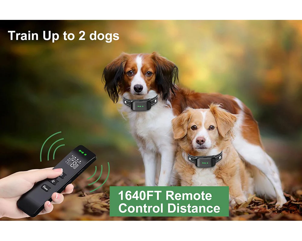 Vibrating Dog Collar No Shock - Image 17