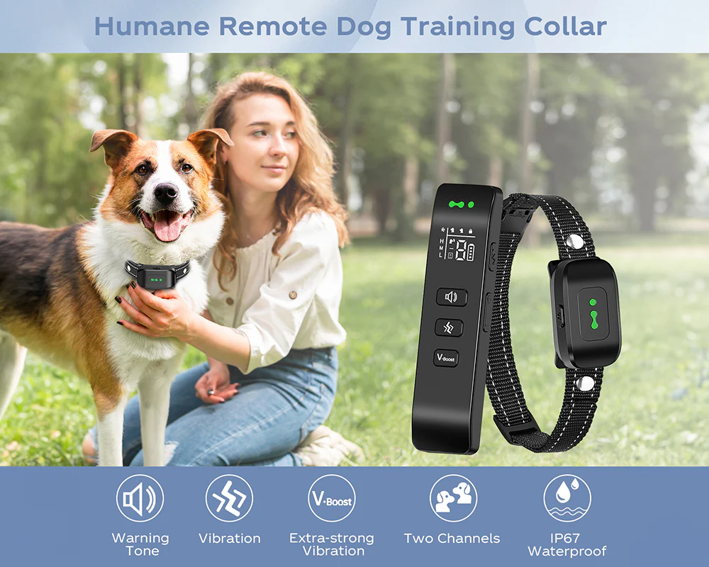 Vibrating Dog Collar No Shock - Image 5