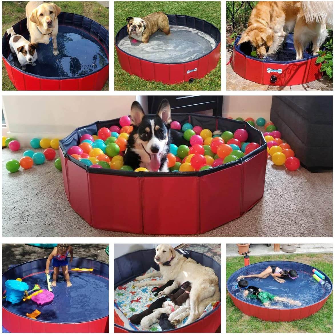 Dog Pet Swimming Pool - Image 8