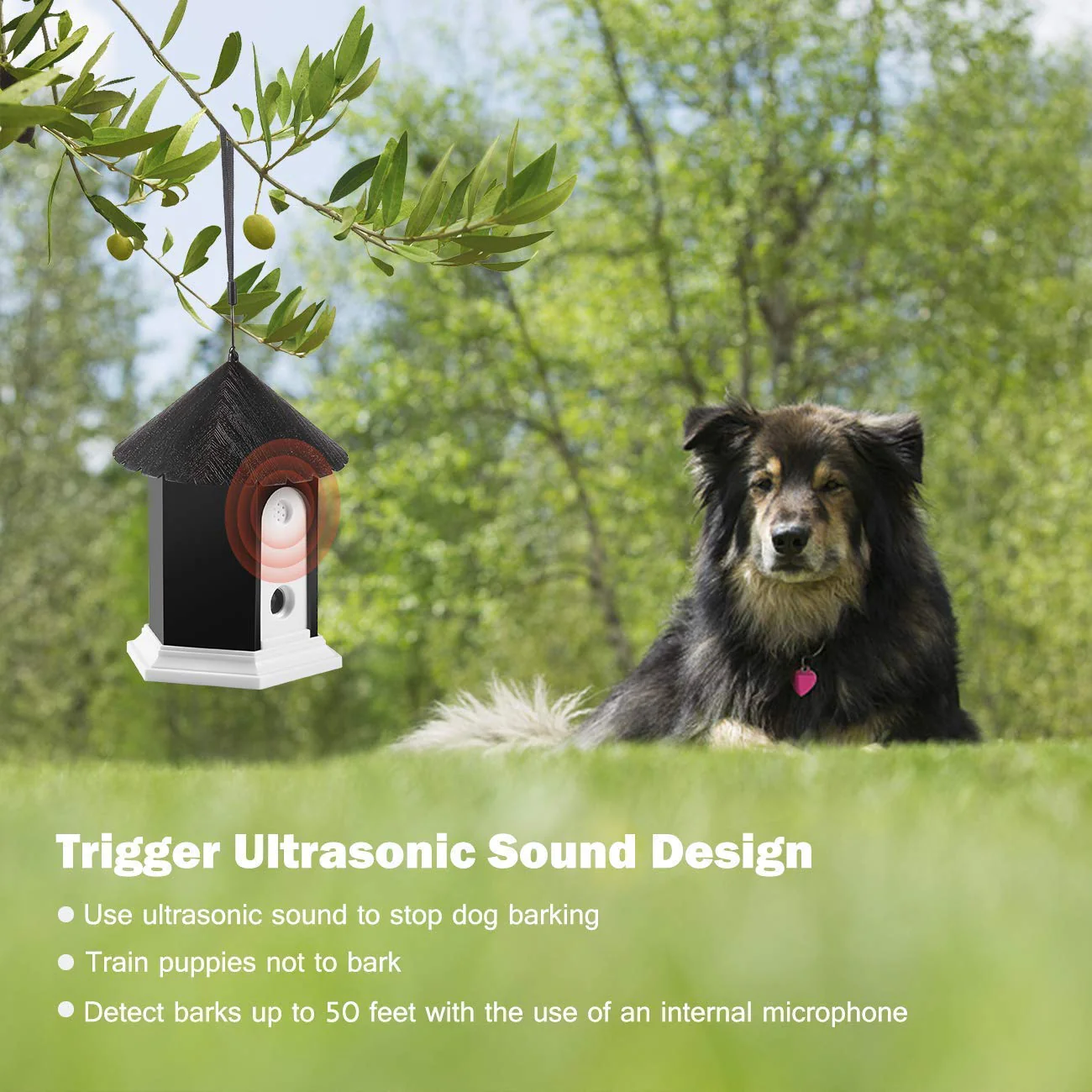 Ultrasonic Dog Bark Control System Anti Barking - Image 7