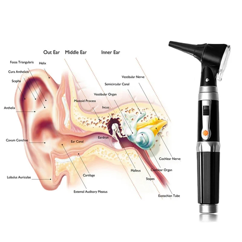 Ear Otoscope Kit Magnification Diagnostic Ear Scope - Image 2