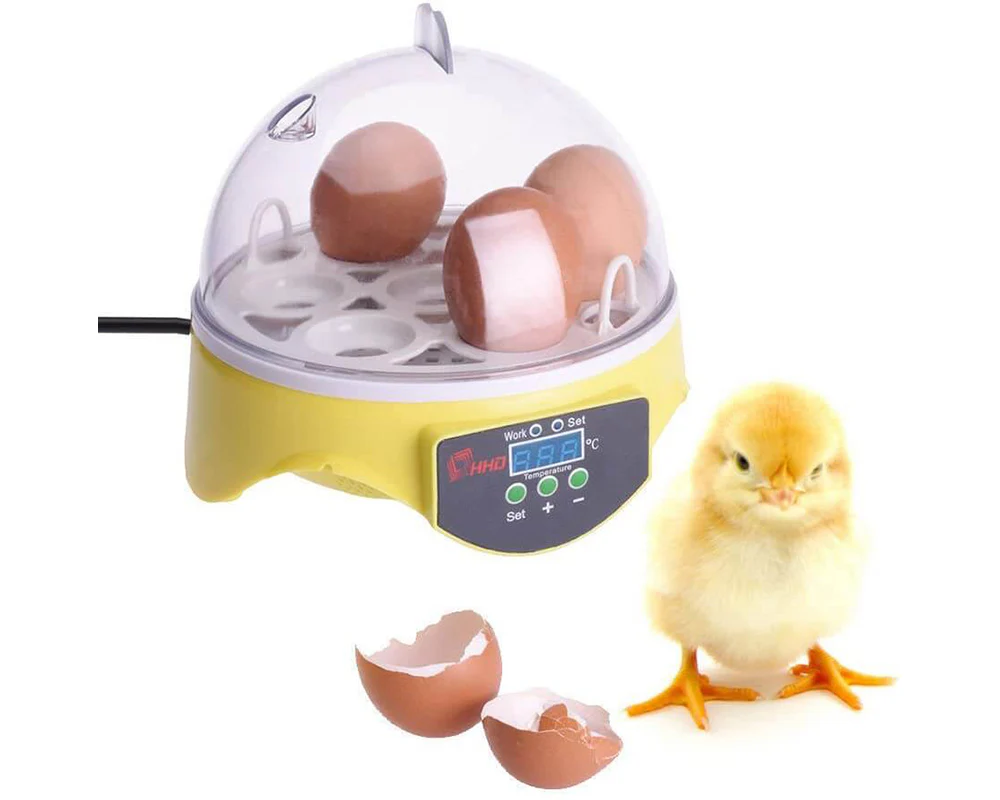 Egg Incubator Automatic 7 Eggs - Image 10