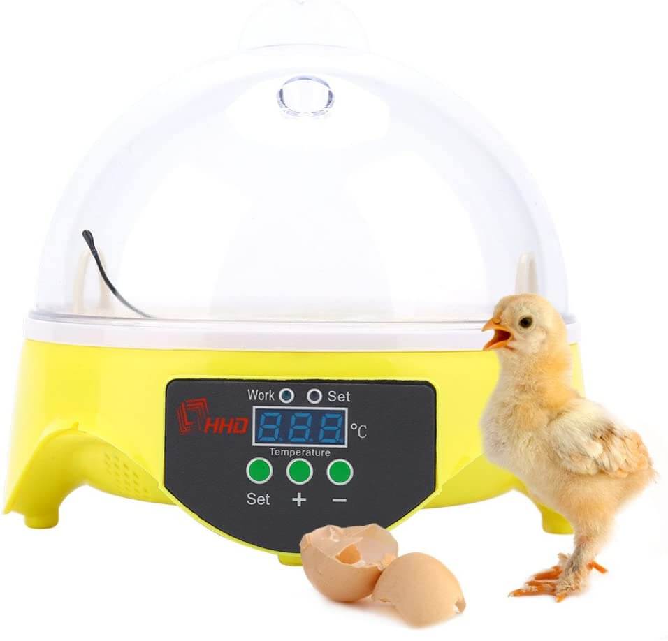 Egg Incubator Automatic 7 Eggs - Image 3