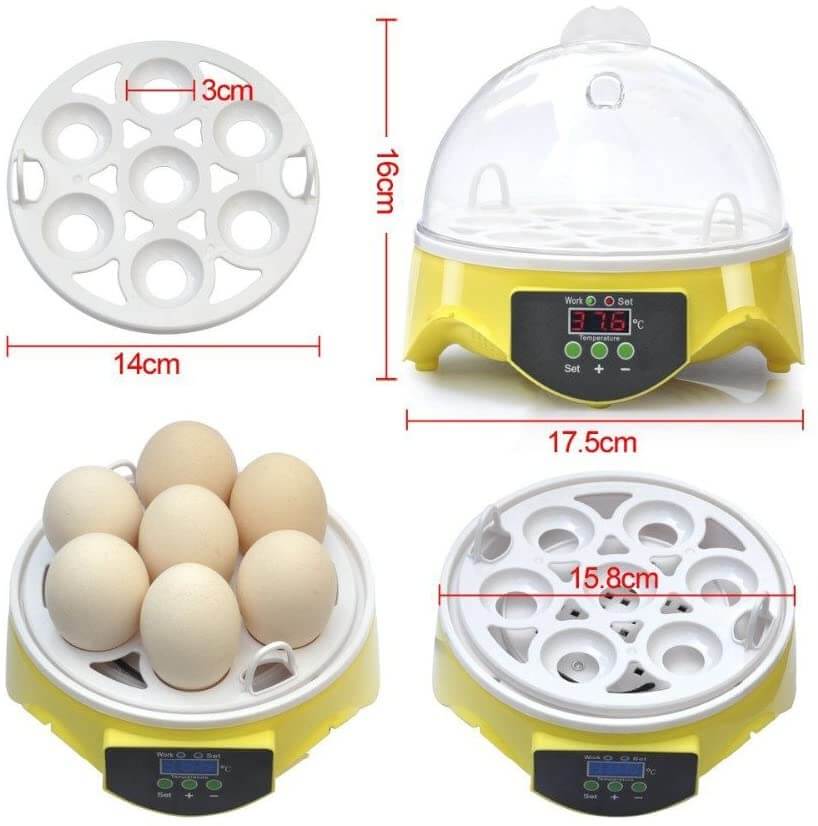 Egg Incubator Automatic 7 Eggs - Image 4
