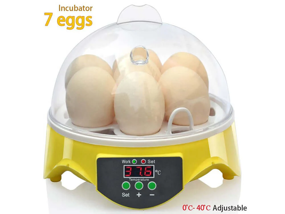 Egg Incubator Automatic 7 Eggs - Image 5