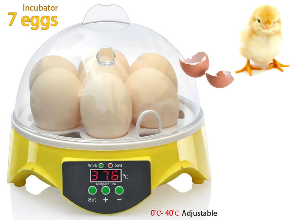 Egg Incubator Automatic 7 Eggs - Image 7