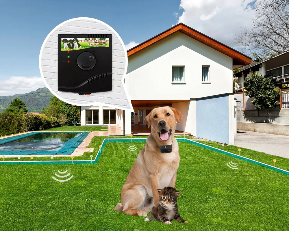 Electric Dog Fence System - Image 4