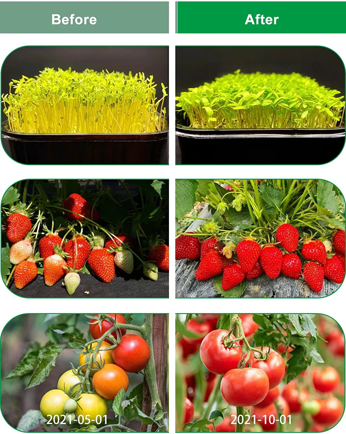 LED Grow Lights UV Indoor Plants - Image 8