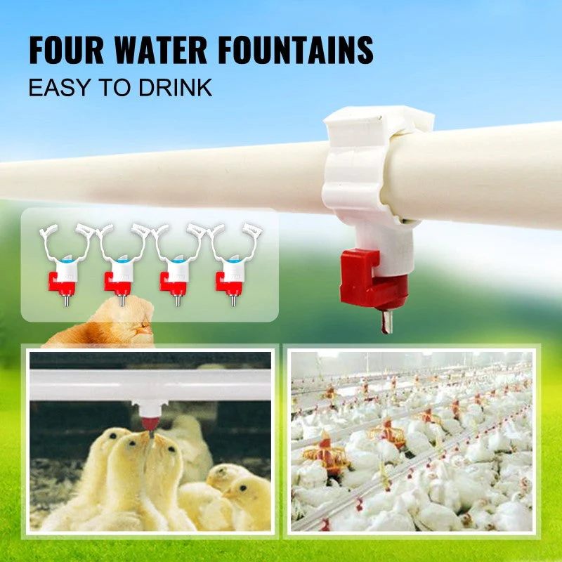 Automatic Chicken Feeder - Image 6
