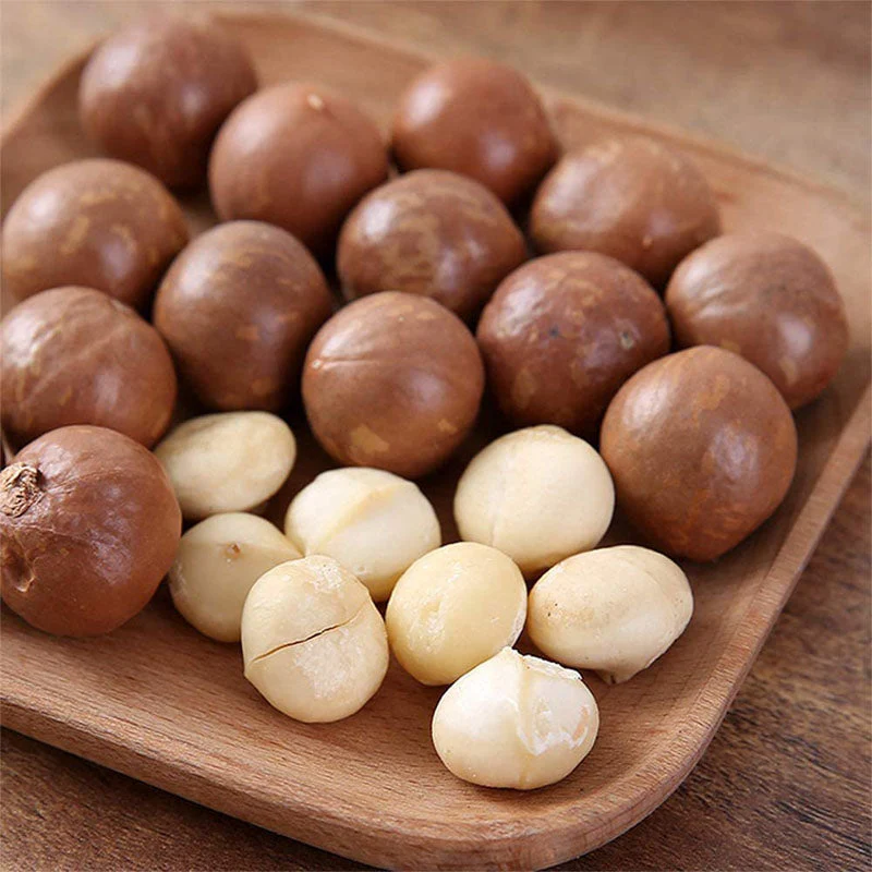 Nut Cracker Macadamia Opener - Image 9
