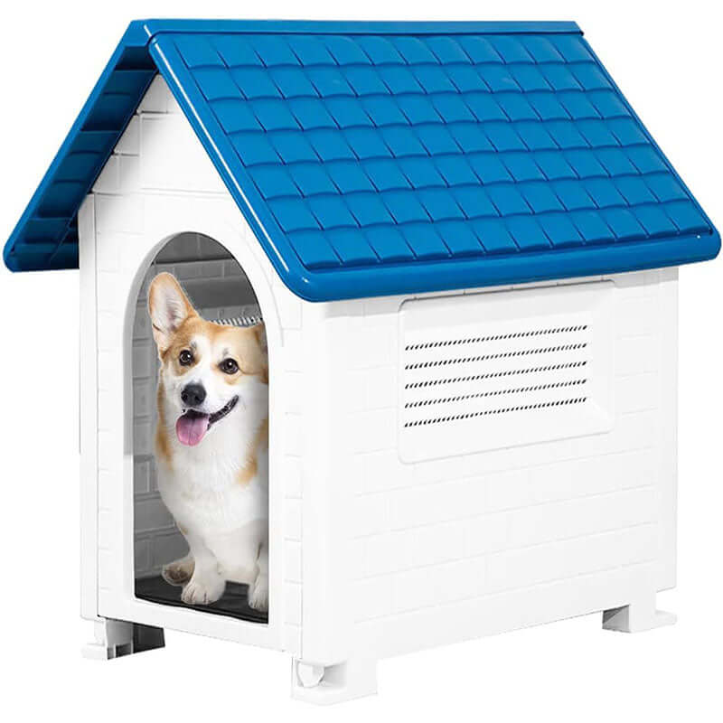 Dog House - Image 6