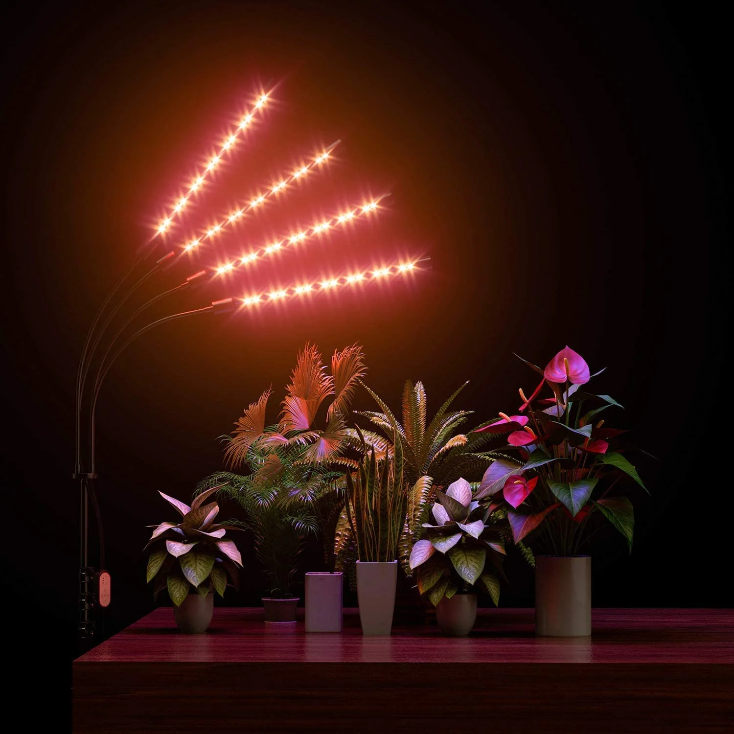LED Grow Light with Timer For Plants - Image 9