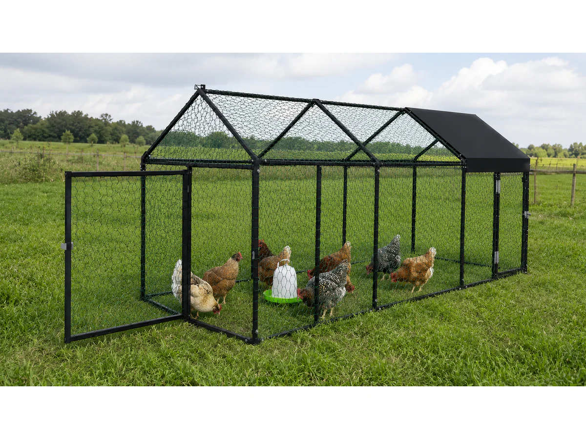 Outdoor Chicken Coop Run - Image 4