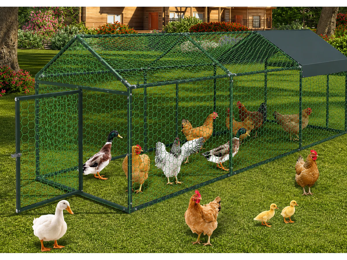 Outdoor Chicken Coop Run - Image 6