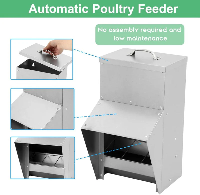 Galvanized Metal Poultry Chicken Feeder Outdoor Hanging Feeder - Image 2