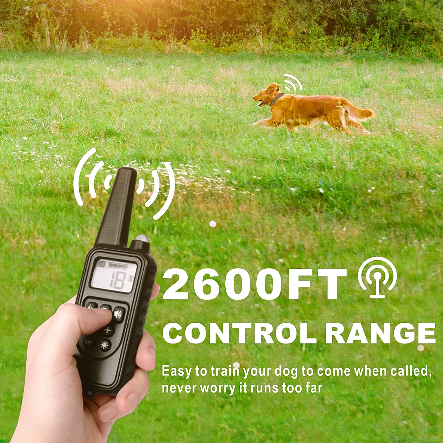 Rechargeable Anti Barking Training Collar - Image 2