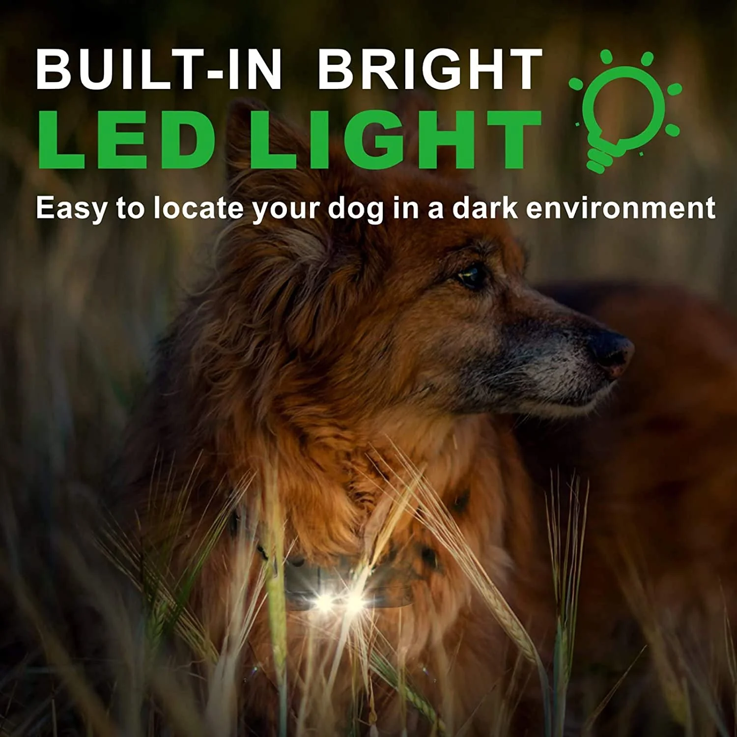 Rechargeable Anti Barking Training Collar - Image 3