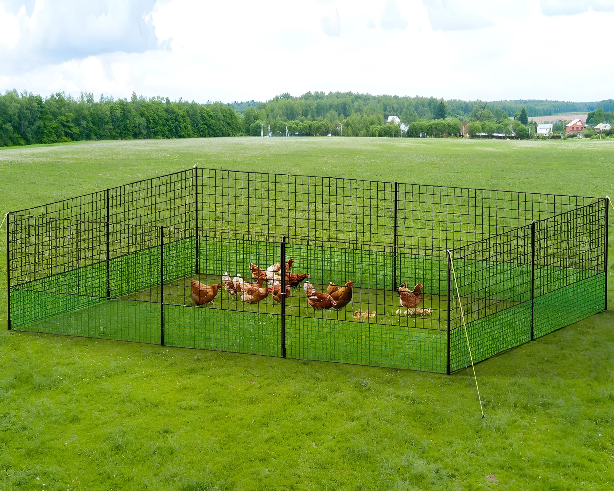 Fence Netting Fence - Image 2