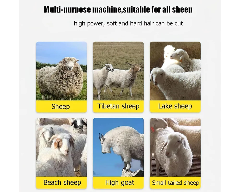 Electric Sheep Clipper Shearing 1500W - Image 7
