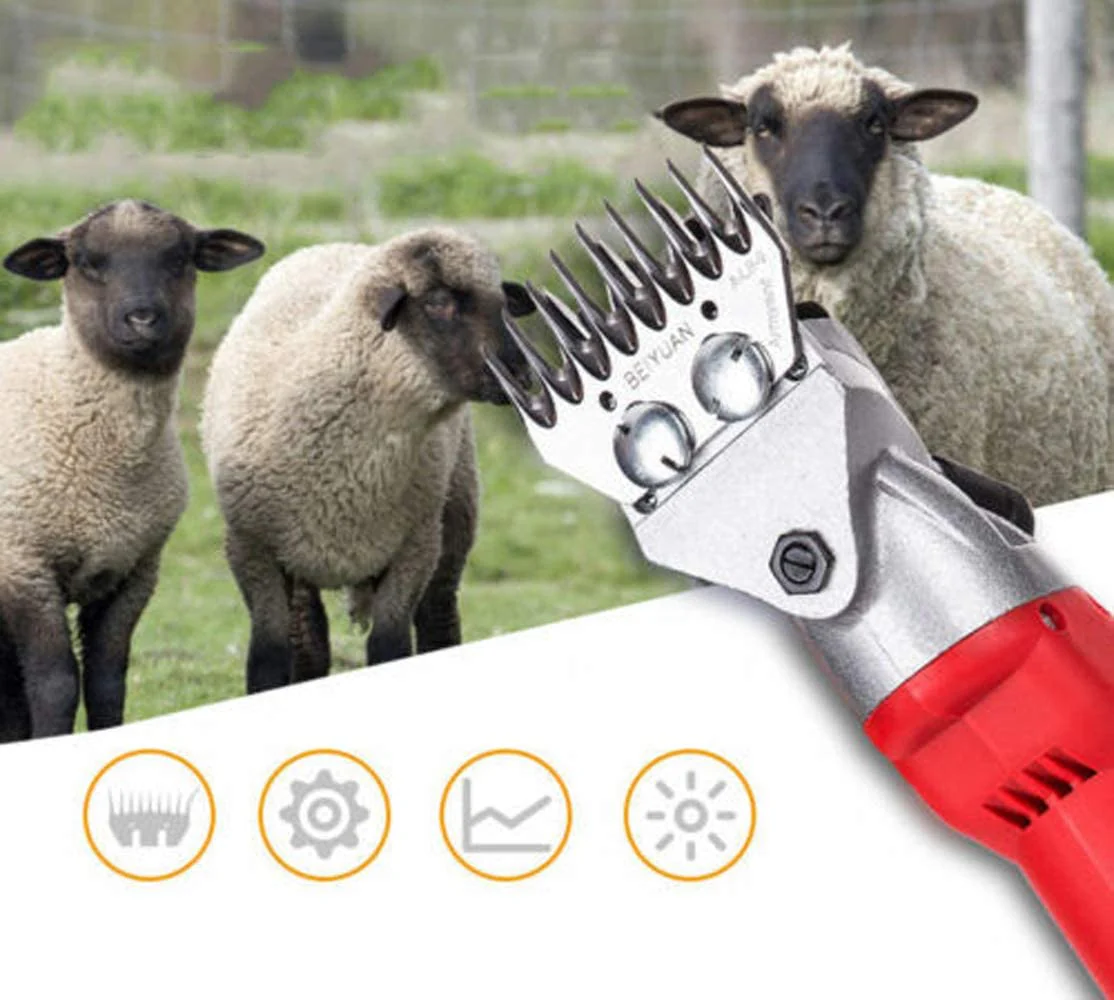 Sheep Shears Sheep Shearing 500W - Image 4